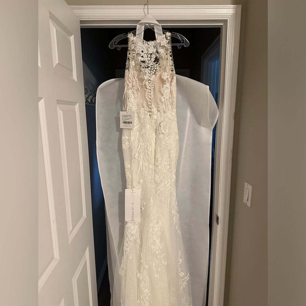 Pronovias EOS Lace Wedding Dress - Picture 15 of 16